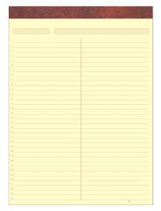 Litigation Ruled Pads